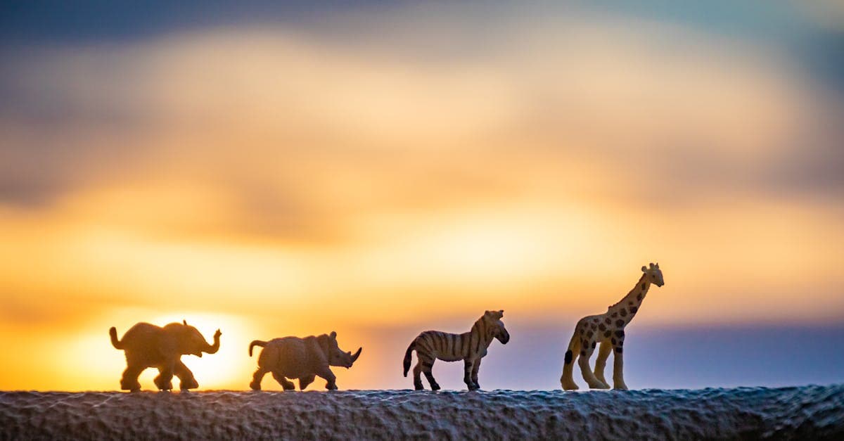 Cover Image for Discover the Wild: Unforgettable African Safari Packages Await!